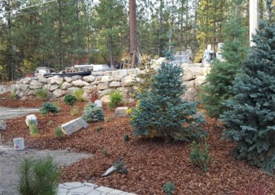rock retaining wall next to newly planted tress