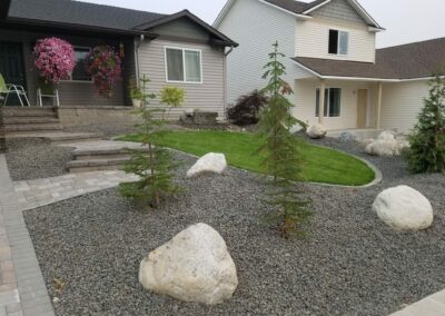 small rock garden with newly plated trees