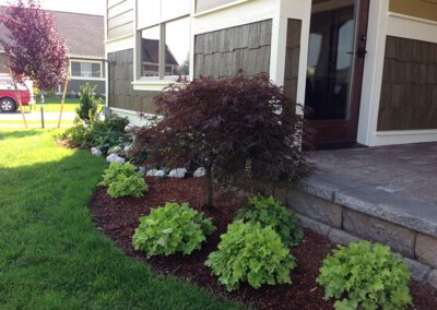 tree and shrub landscaping
