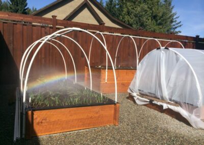 small garden greenhouse enclosures