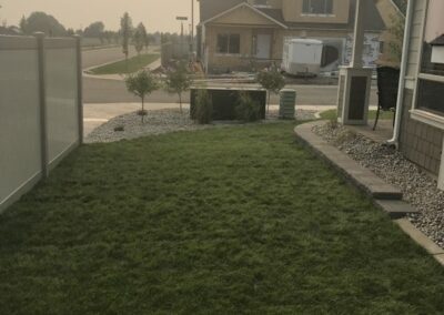 grass lawn on side of house